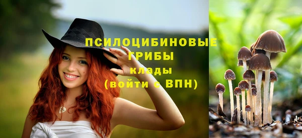 индика Каменск-Шахтинский