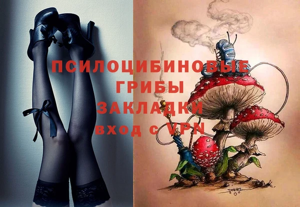 эйфоретик Каменка