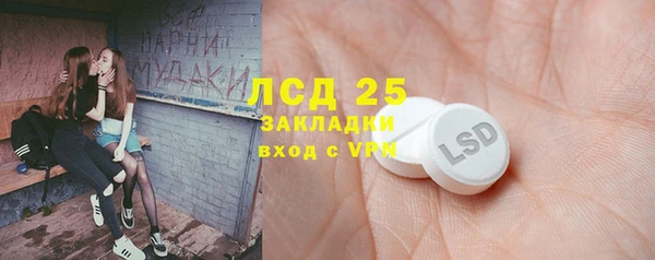 индика Каменск-Шахтинский