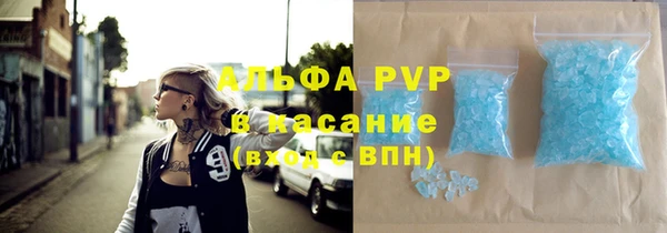 индика Каменск-Шахтинский