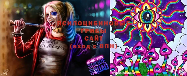 apvp Касимов