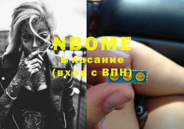 индика Каменск-Шахтинский