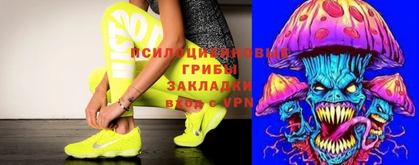 эйфоретик Каменка