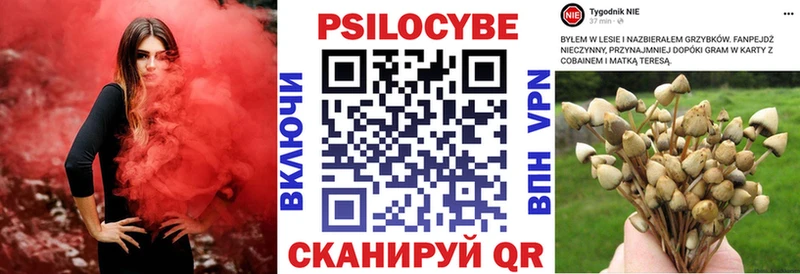 Купить где  Дагестанские Огни  Галлюциногенные грибы ЛСД 